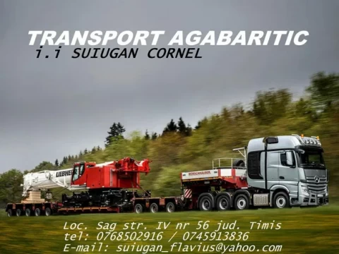 Transport utilaje si transport agabaritic